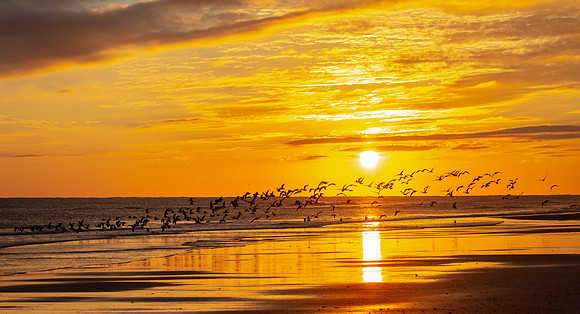Flying through the Sunrise