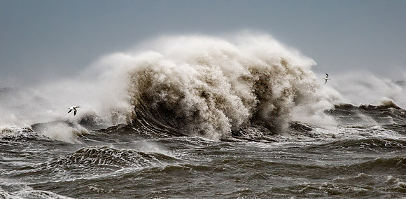 Navigating Rough Seas